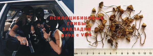 каннабис Верея
