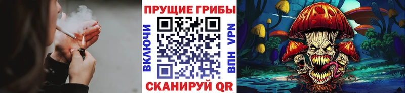 как найти закладки  Кашин  Галлюциногенные грибы прущие грибы 