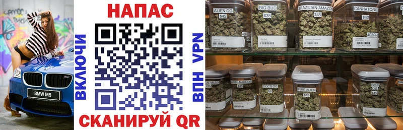 Бошки марихуана сатива Кашин